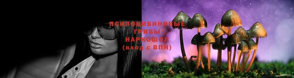 ALPHA PVP Алзамай