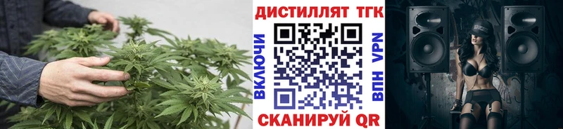 где найти   Миньяр  ТГК вейп с тгк 